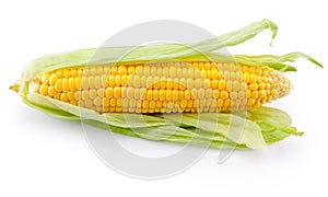 Ear of corn isolated on white background