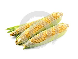 An ear of corn isolated on a white background
