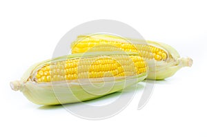 An ear of corn isolated on a white background