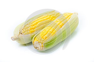 An ear of corn isolated on a white background