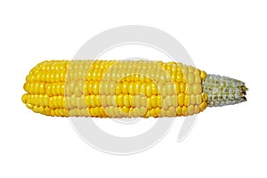 Ear of corn isolated on white background.