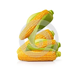 Ear of corn isolated on a white background