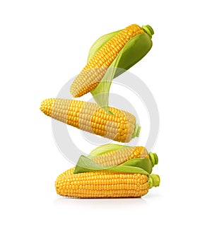 Ear of corn isolated on a white background