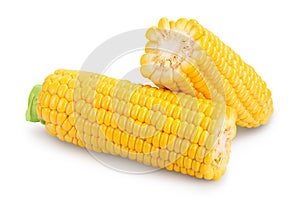 Ear of corn isolated on a white background. Clipping path and full depth of field