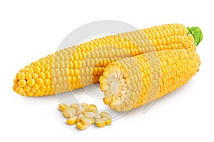 Ear of corn isolated on a white background. Clipping path and full depth of field