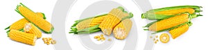 Ear of corn isolated on a white background. Clipping path and full depth of field. Set or collection
