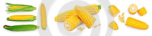ear of corn isolated on a white background. Clipping path and full depth of field. Set or collection
