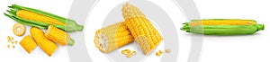 ear of corn isolated on a white background. Clipping path and full depth of field. Set or collection