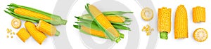 ear of corn isolated on a white background. Clipping path and full depth of field. Set or collection