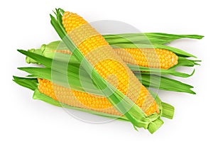 Ear of corn isolated on a white background. Clipping path. Top view. Flat lay