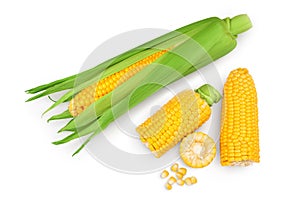 Ear of corn isolated on a white background. Clipping path. Top view. Flat lay. Set or collection