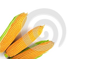 Ear of corn isolated on a white background with copy space for your text. Top view. Set or collection