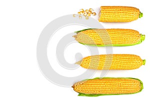 Ear of corn isolated on a white background with copy space for your text. Top view. Set or collection