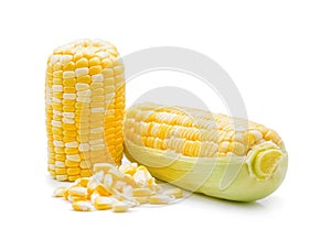 An ear of corn isolated on a white background