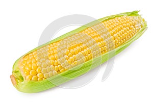 An ear of corn isolated on a white background