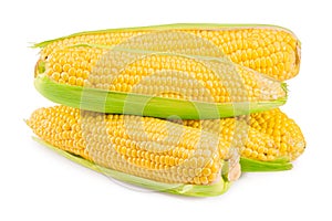 An ear of corn isolated on a white background