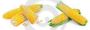ear of corn isolated on a white background with full depth of field. Set or collection