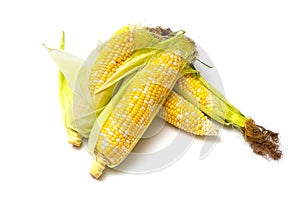 An ear of corn isolated on a white background