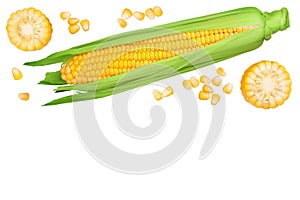 ear of corn isolated on a white background. Top view with copy space for your text. Flat lay