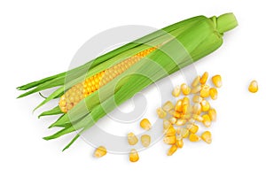 ear of corn isolated on a white background. Top view. Flat lay.