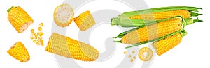 ear of corn isolated on a white background. Top view. Flat lay