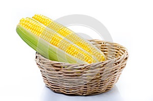 An ear of corn isolated on a white background