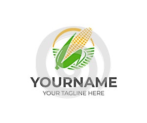 Ear of corn logo design. Maize crop vector design