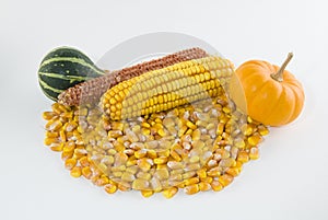 Ear of corn with loose kernels and gourds