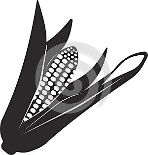 An ear of corn. Organic food, cereals. Vector image.