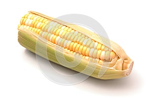 Ear of Corn Over White