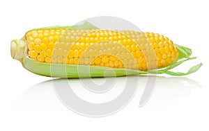 Ear of corn on white background