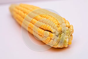 Ear of corn on white . Sweet corn is delicious and ready to eat. Vegetables are beneficial to the body, have vitamins and