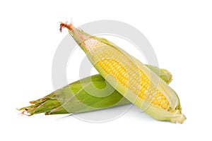 Ear corns isolated on white