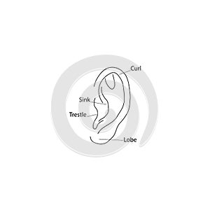 Ear diagram structure icon. Vector illustration eps 10