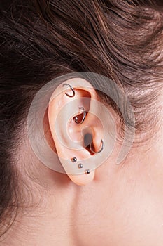 ear with earrings including helix rook tragus and lobe piercings