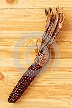 An ear of flint corn with brown and golden kernels lies on a golden pine table top.