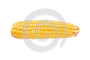 Ear of fresh ripe corn isolate on white background