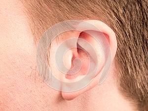 Ear photo