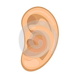 Ear icon flat style. Anatomy, medicine concept. Hearing sound. Isolated on white background. Vector illustration.