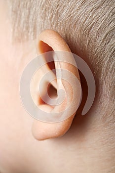 Ear macro