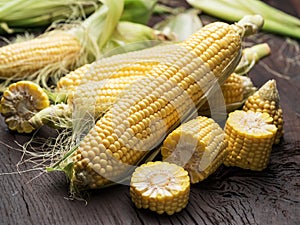 Ear of maize or corn on the dark wooden background