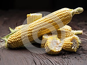 Ear of maize or corn on the dark wooden background