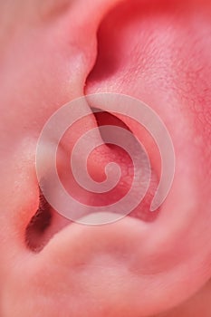 Ear of a newborn baby, close-up. Macro photo of a healthy child ear
