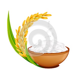 Ear of paddy, ears of Thai jasmine rice isolated on white background