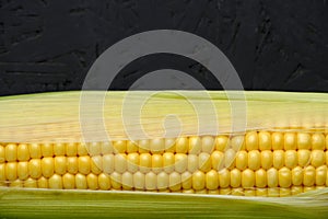 Ear raw ripe corn dark background, closeup.