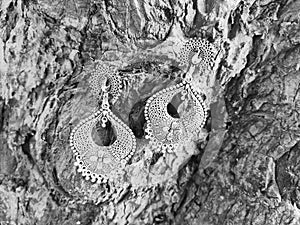 Ear rings hanging on a tree bark