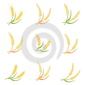 Ear spike logo badge icon wheat isolated vector.