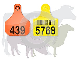 Ear Tags & Farm Animals