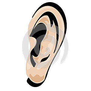 Ear Vector Cartoon shaded