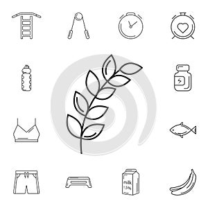 Ear of wheat icon. Simple element illustration. Ear of wheat symbol design from Gym and Health collection set. Can be used for web